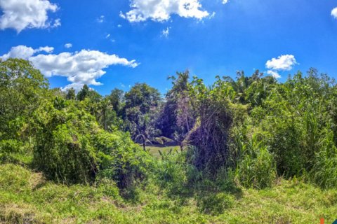 Land in Cepaka, Kediri, Tabanan, Bali (11336) 10