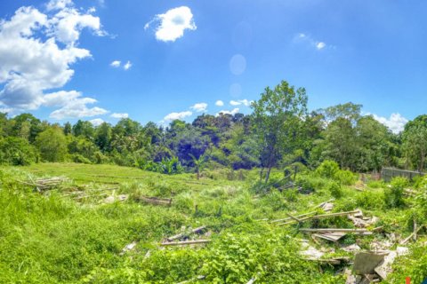 Land in Cepaka, Kediri, Tabanan, Bali (11336) 7