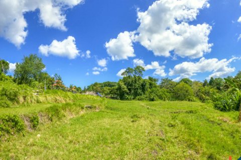 Land in Cepaka, Kediri, Tabanan, Bali (11336) 8