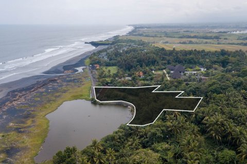Land in Kerambitan, Tabanan, Bali (4412) 3