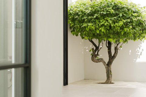 3 bedrooms Villa in Kerobokan, Badung, Bali (15698) 6