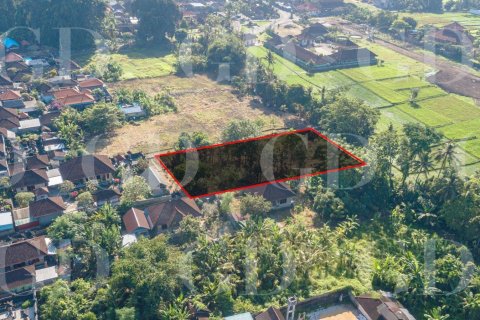 Land in Buduk, Mengwi, Badung, Bali (15700) 6
