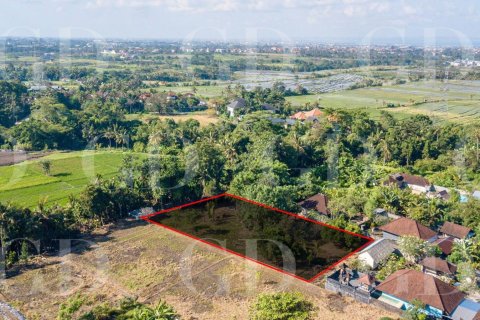 Land in Buduk, Mengwi, Badung, Bali (15700)