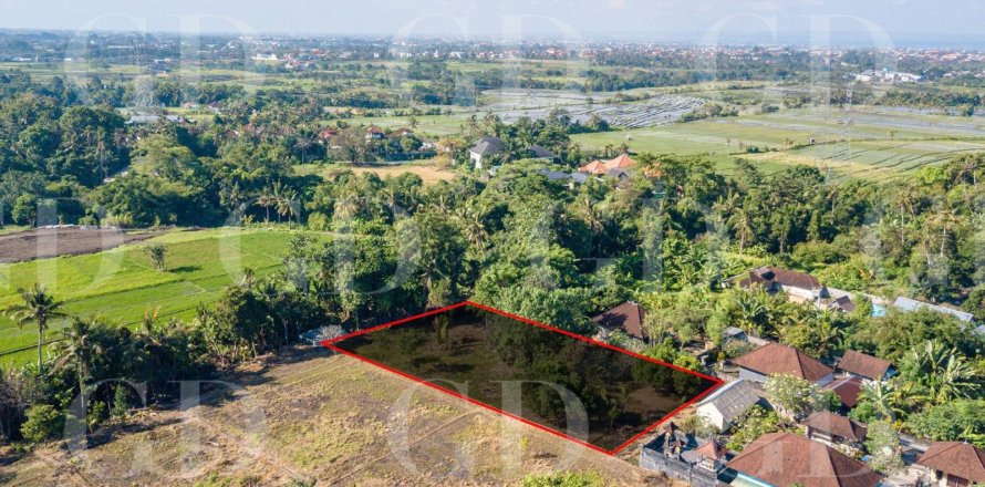 Land in Buduk, Mengwi, Badung, Bali (15700)