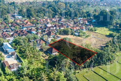 Land in Buduk, Mengwi, Badung, Bali (15700) 3