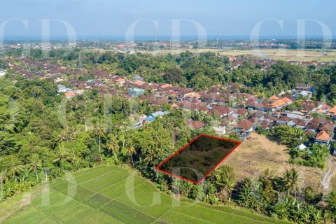 Land in Buduk, Mengwi, Badung, Bali (15700) 2