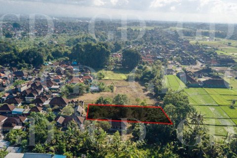 Land in Buduk, Mengwi, Badung, Bali (15700) 4