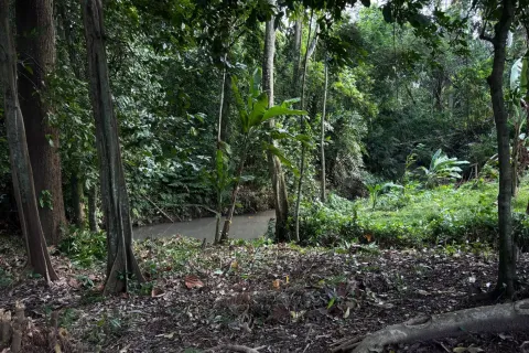 Land in Tumbak Bayuh, Mengwi, Badung, Bali (11120) 1