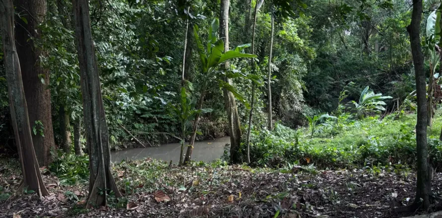 Land in Tumbak Bayuh, Mengwi, Badung, Bali (11120)