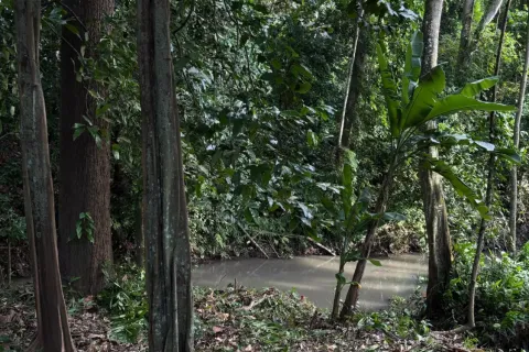 Land in Tumbak Bayuh, Mengwi, Badung, Bali (11120) 4