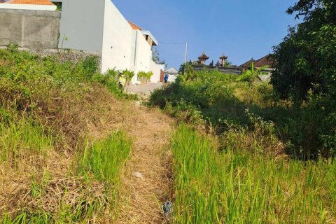600m2 Land in South Kuta, Badung, Bali (15842) 5
