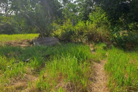 600m2 Land in South Kuta, Badung, Bali (15842) 4