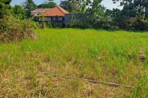 600m2 Land in South Kuta, Badung, Bali (15842) 7