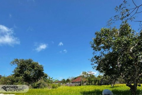 600m2 Land in South Kuta, Badung, Bali (15842) 6