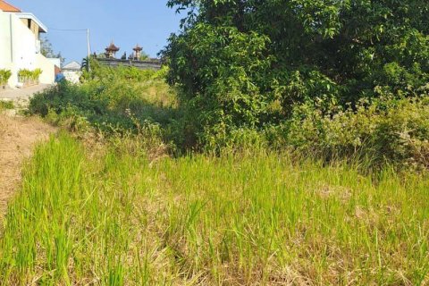 600m2 Land in South Kuta, Badung, Bali (15842) 3