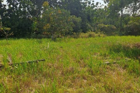 600m2 Land in South Kuta, Badung, Bali (15842) 8
