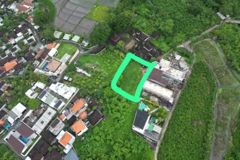 Land in Tumbak Bayuh, Mengwi, Badung, Bali (11503)