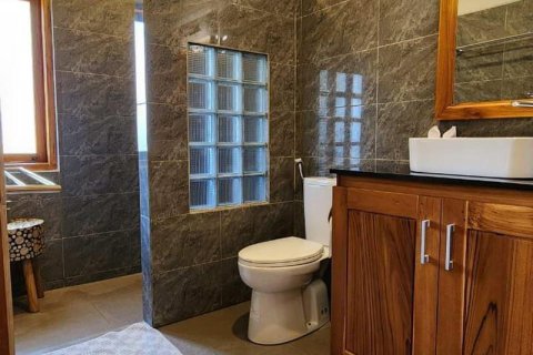 4 bedrooms Villa in Lovina, Anturan, Buleleng,  (9708) 12