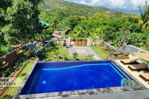 4 bedrooms Villa in Lovina, Anturan, Buleleng,  (9708) 23