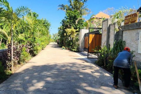 4 bedrooms Villa in Lovina, Anturan, Buleleng,  (9708) 6