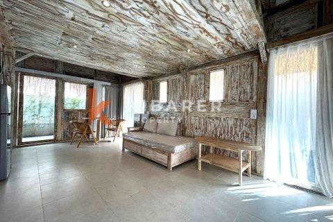 1 bedroom Villa in Pererenan, Mengwi, Badung, Bali (12381) 9