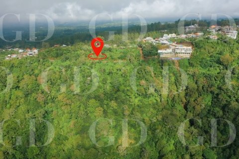 Land in Kintamani, Bangli, Bali (15707) 4