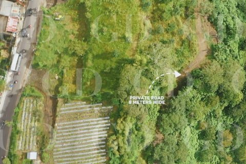 Land in Kintamani, Bangli, Bali (15707) 5