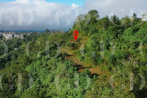Land in Kintamani, Bangli, Bali (15707) 3