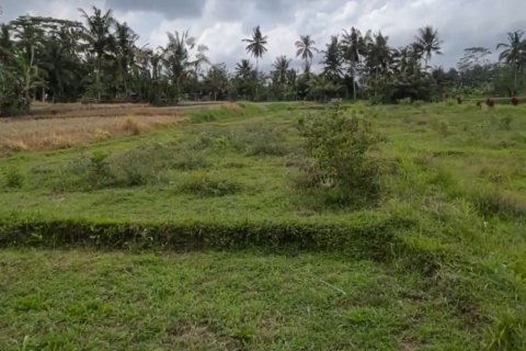 Land in Tegallalang, Gianyar, Bali (11723)