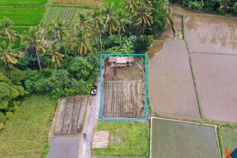 Land in Ubud, Gianyar, Bali (11722)