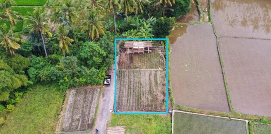 Land in Ubud, Gianyar, Bali (11722)