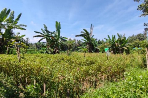 Land in Ubud, Gianyar, Bali (11722) 2