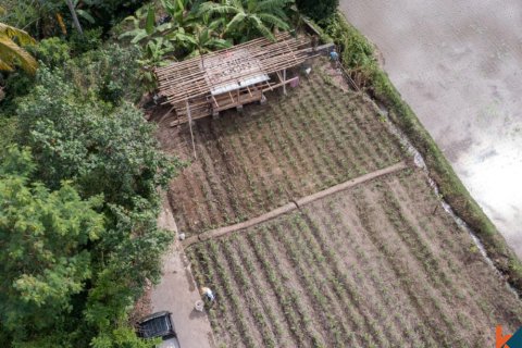 Land in Ubud, Gianyar, Bali (11722) 3