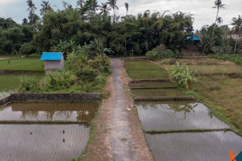 Land in Ubud, Gianyar, Bali (11722) 4