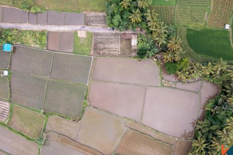 Land in Ubud, Gianyar, Bali (11722) 5