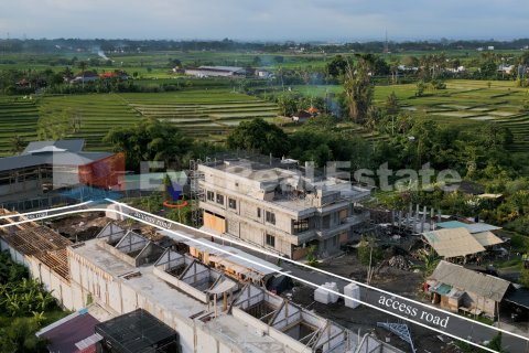 1000m2 Land in Buduk, Mengwi, Badung, Bali (2530) 7