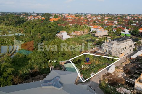 1000m2 Land in Buduk, Mengwi, Badung, Bali (2530) 4
