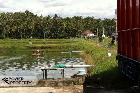 Земельный участок 49000м2 в Негара, Джембрана, (10037) 6