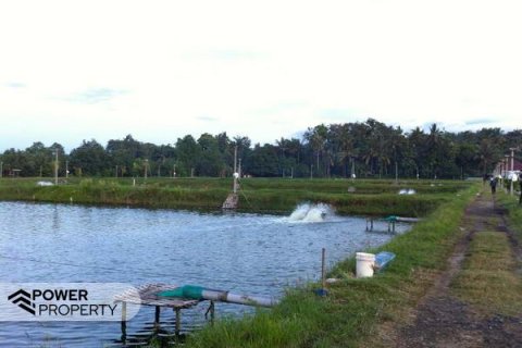 49000m2 Land in Negara, Jembrana,  (10037)