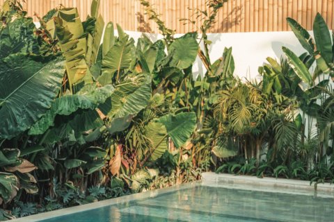 4 bedrooms Villa in Canggu, Badung, Bali (14471) 14