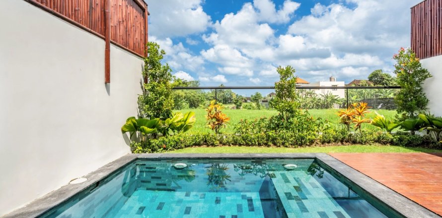 2 bedrooms Villa in Canggu, Badung, Bali (14474)