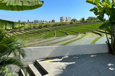 4 bedrooms Villa in Canggu, Badung, Bali (14847) 4