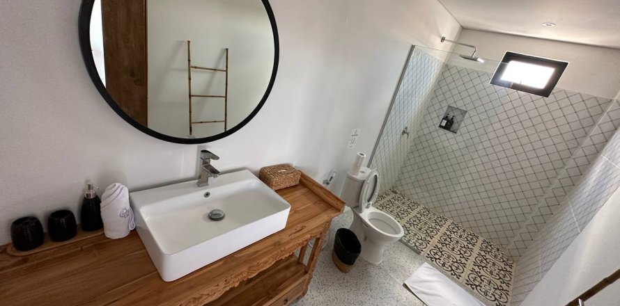 4 bedrooms Villa in Canggu, Badung, Bali (14847)