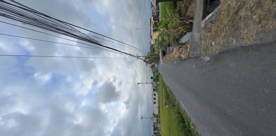 Земельный участок в Цемаги, Менгви, Бадунг,  (9329)