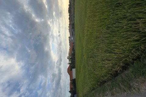 Земельный участок в Цемаги, Менгви, Бадунг,  (9329) 5