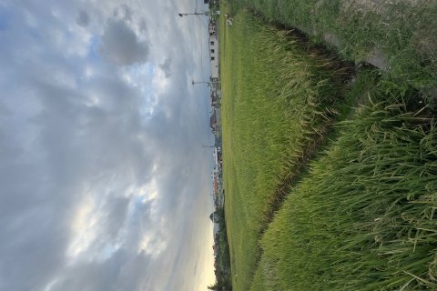 Земельный участок в Цемаги, Менгви, Бадунг,  (9329) 9