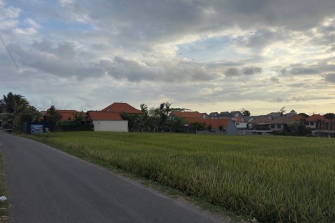 Земельный участок в Цемаги, Менгви, Бадунг,  (9329) 3