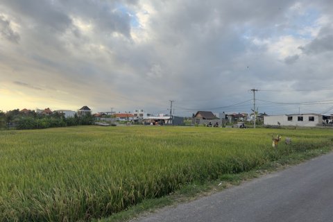 Земельный участок в Цемаги, Менгви, Бадунг,  (9329) 2