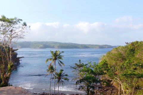 Земельный участок в Нуса Ченинган, Клунгкунг,  (9332) 2