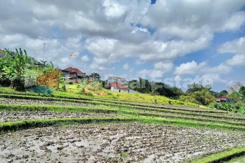 Studio Villa in Canggu, Badung, Bali (2502)